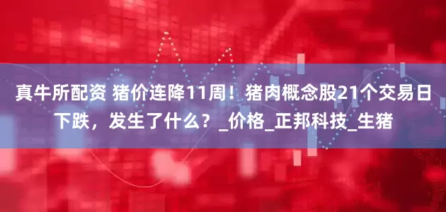 真牛所配资 猪价连降11周！猪肉概念股21个交易日下跌，发生了什么？_价格_正邦科技_生猪