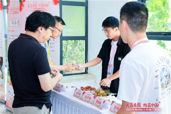 日升策略 东莞给“荔”！顺丰携手央视网开展“超级地标好物”助农行动